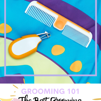 Grooming 101: The Best Grooming Tools for a New Mom